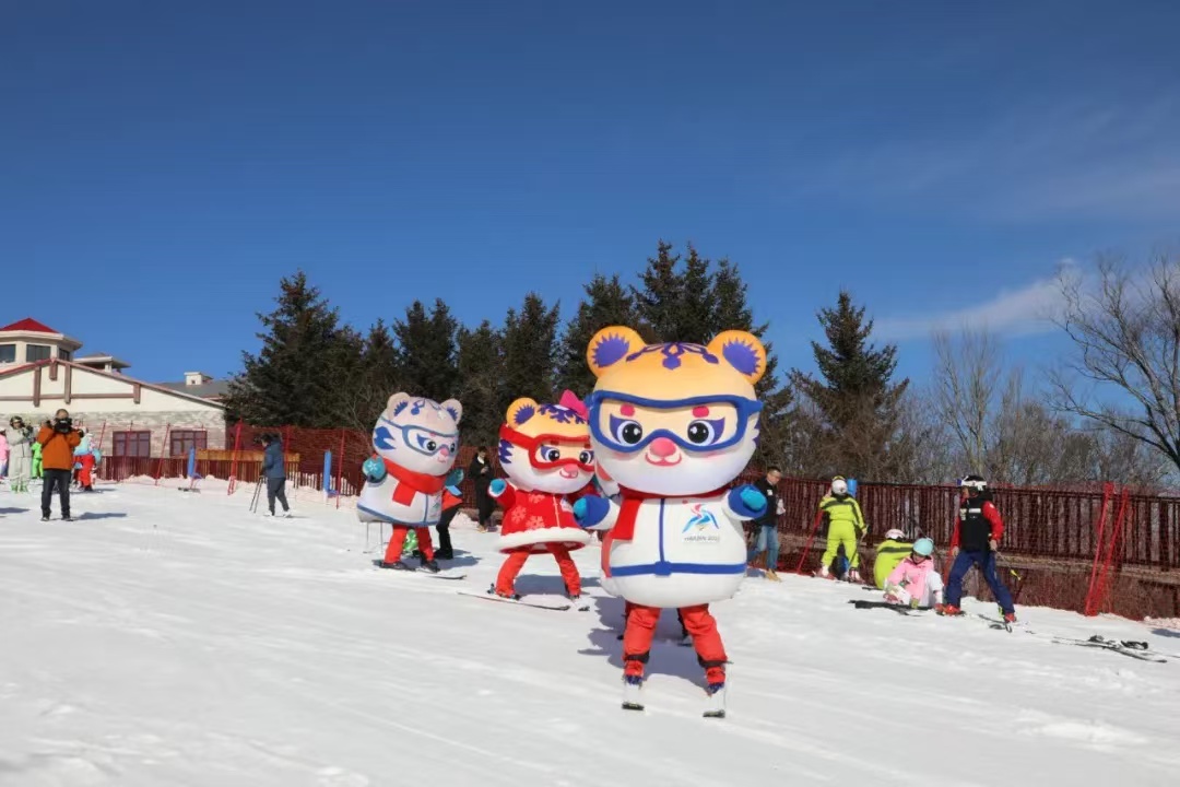 【“中国游记”第一季⑥】冰天雪地嘎嘎得劲儿！第九届亚冬会“尔滨”等你来撒欢儿~